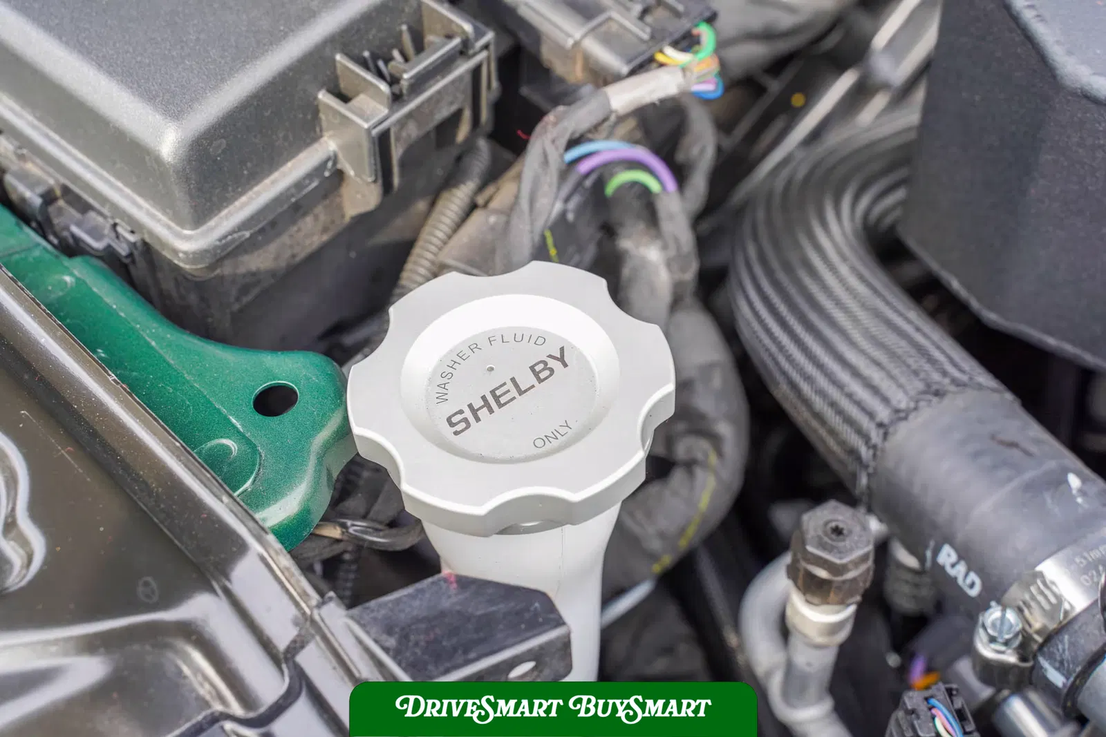 2023 Ford Mustang Shelby Super Snake