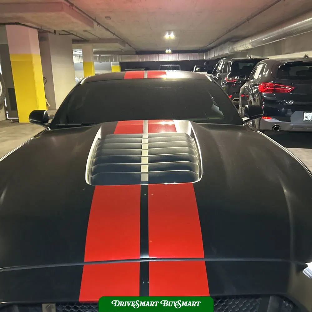 2019 Ford Mustang Shelby GT350