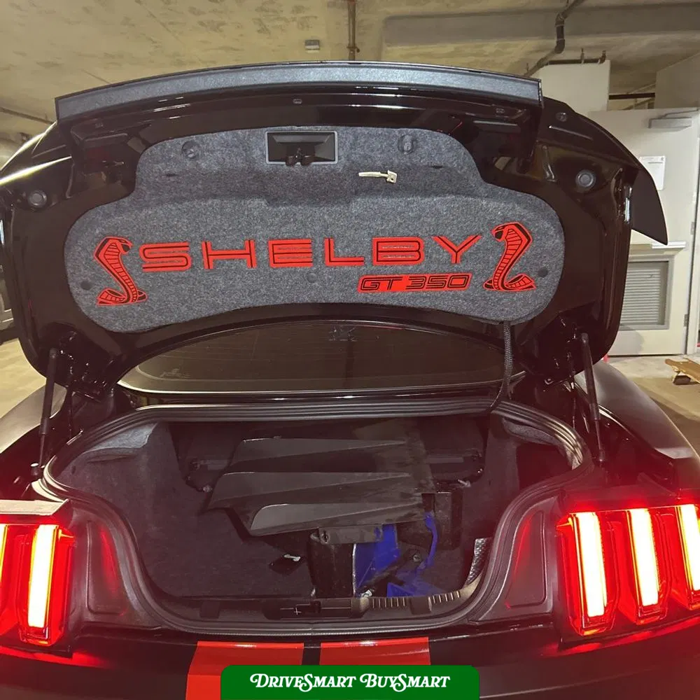 2019 Ford Mustang Shelby GT350