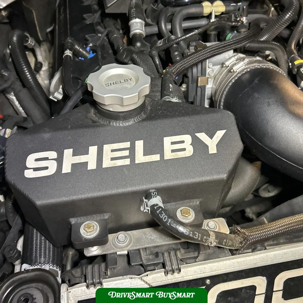 2019 Ford Mustang Shelby GT350