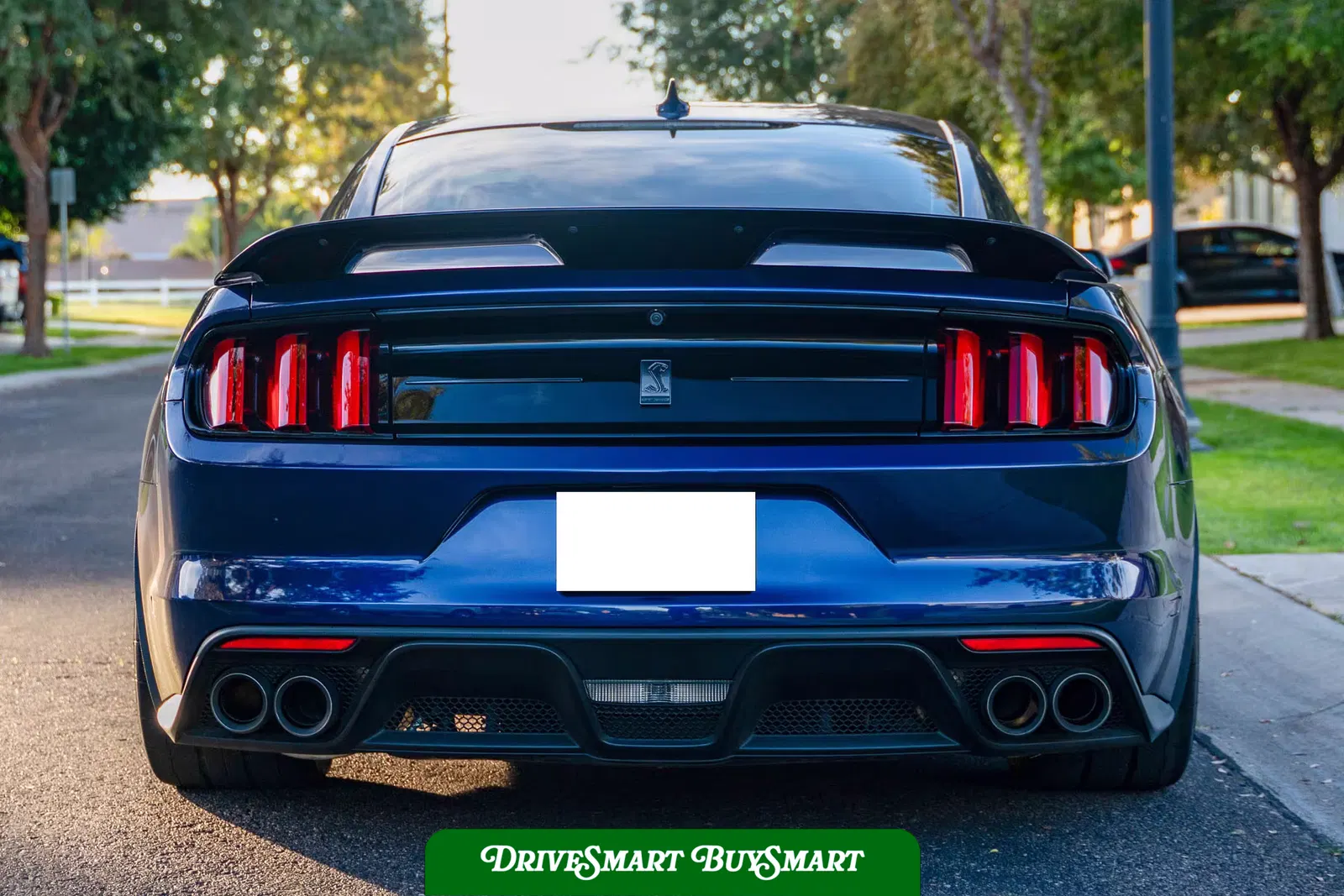 2020 Ford Mustang Shelby GT350