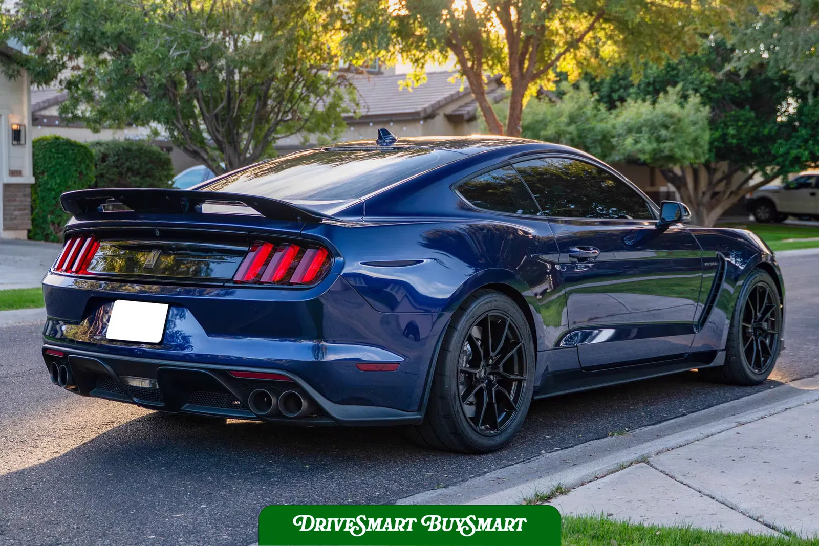 2020 Ford Mustang Shelby GT350
