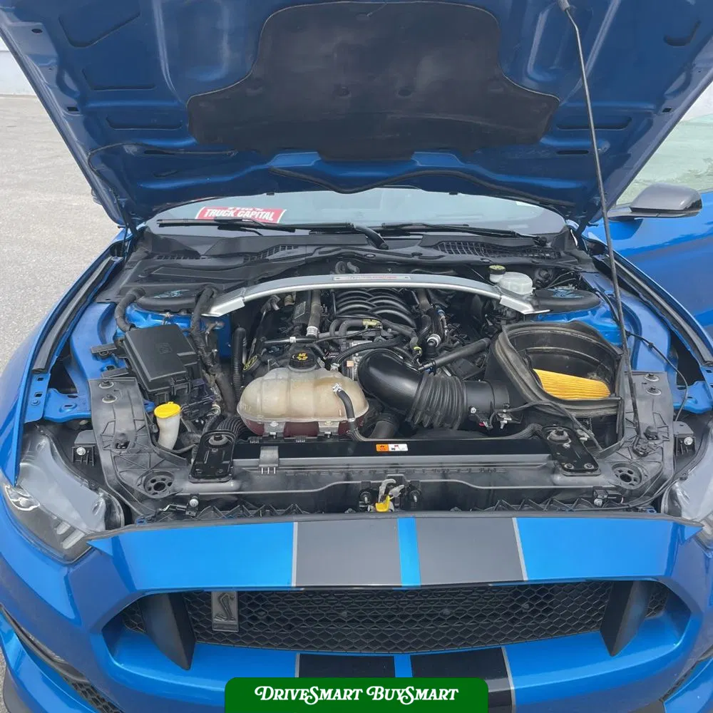 2019 Ford Mustang Shelby GT350