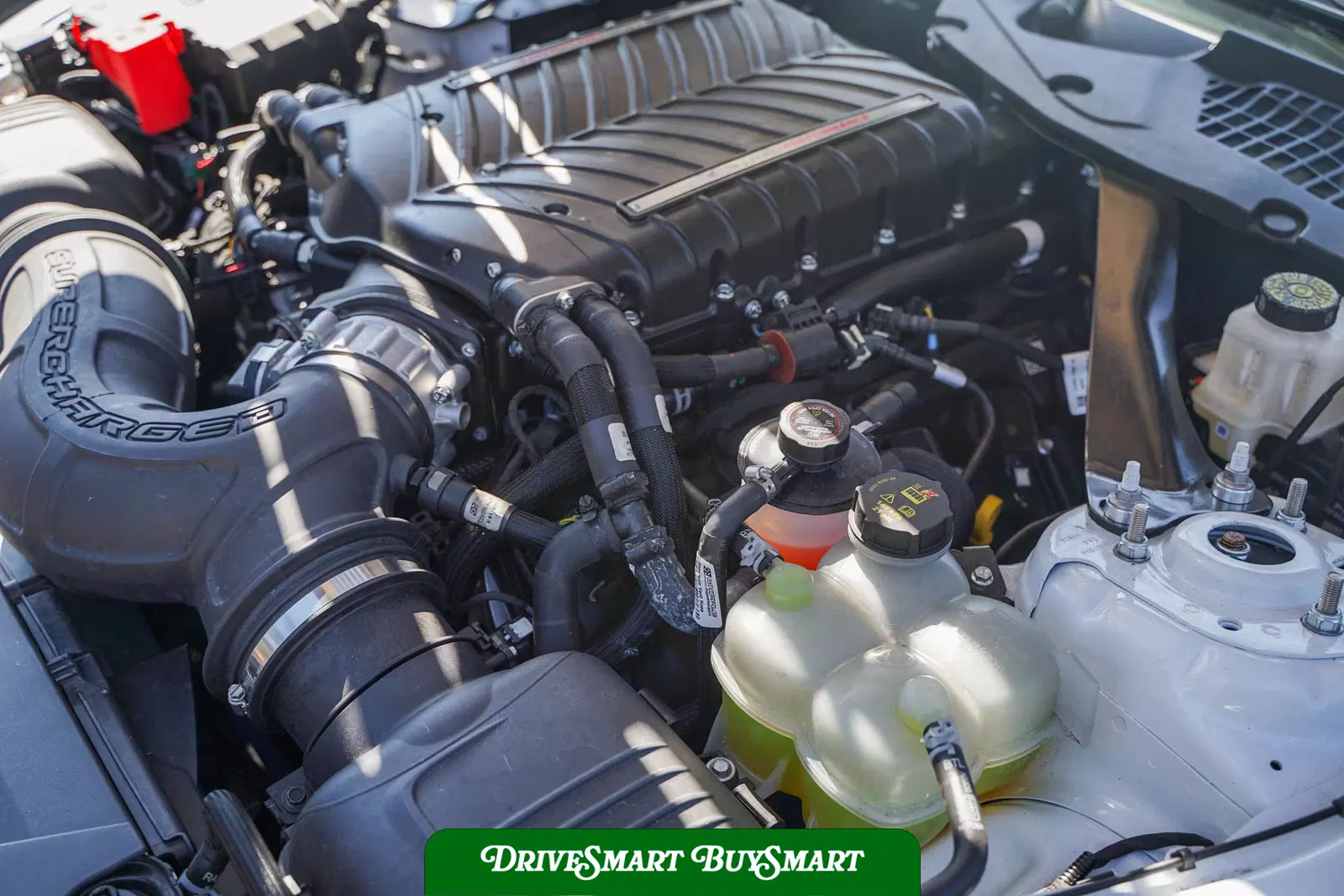 2024 Ford Mustang Dark Horse Supercharged