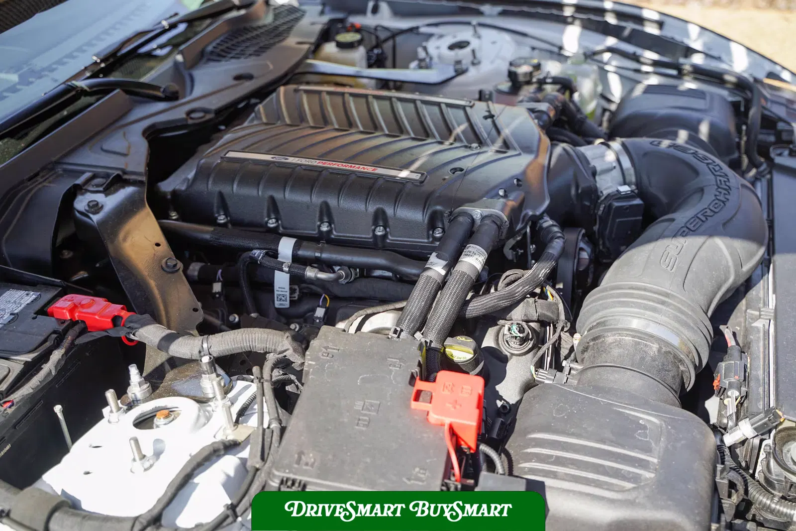 2024 Ford Mustang Dark Horse Supercharged