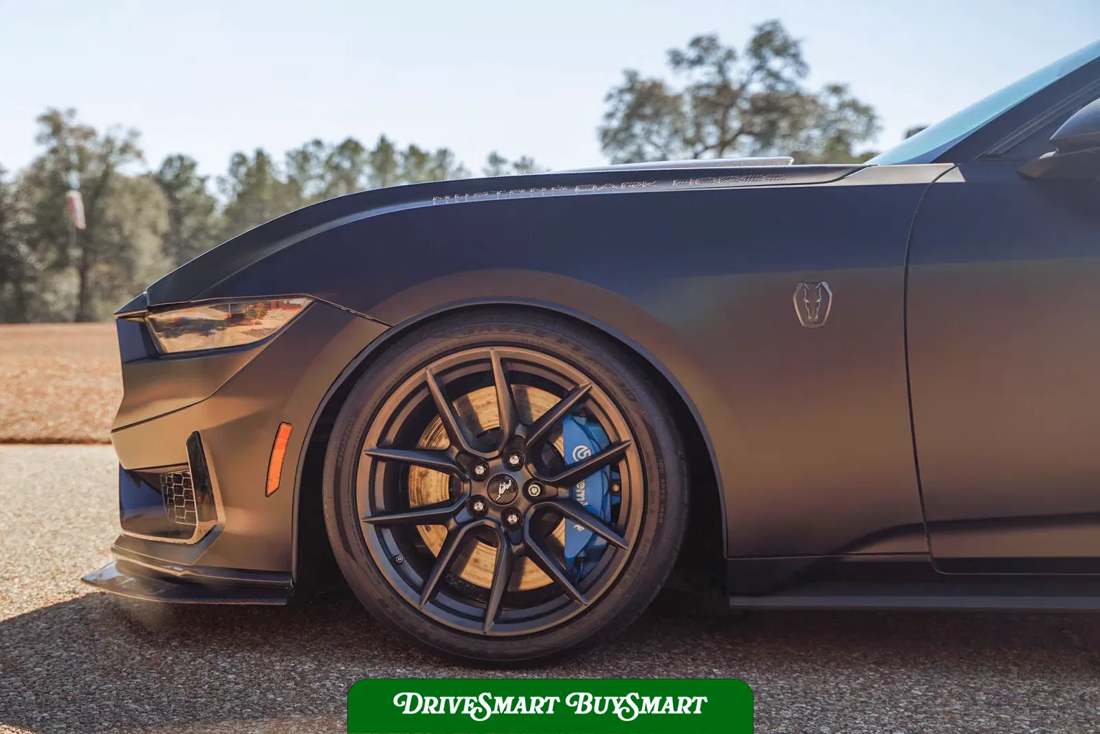 2024 Ford Mustang Dark Horse Supercharged