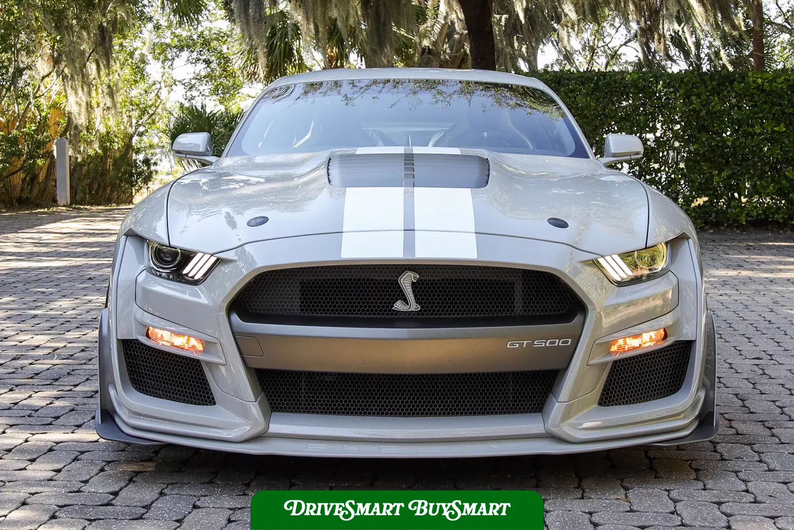 2020 Ford Mustang Shelby GT500