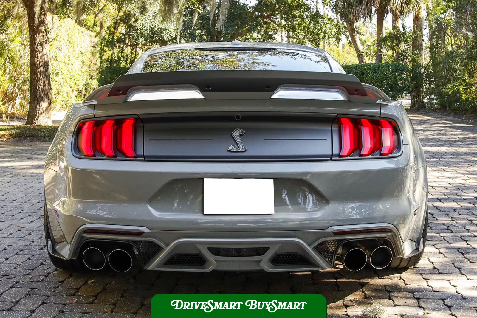 2020 Ford Mustang Shelby GT500