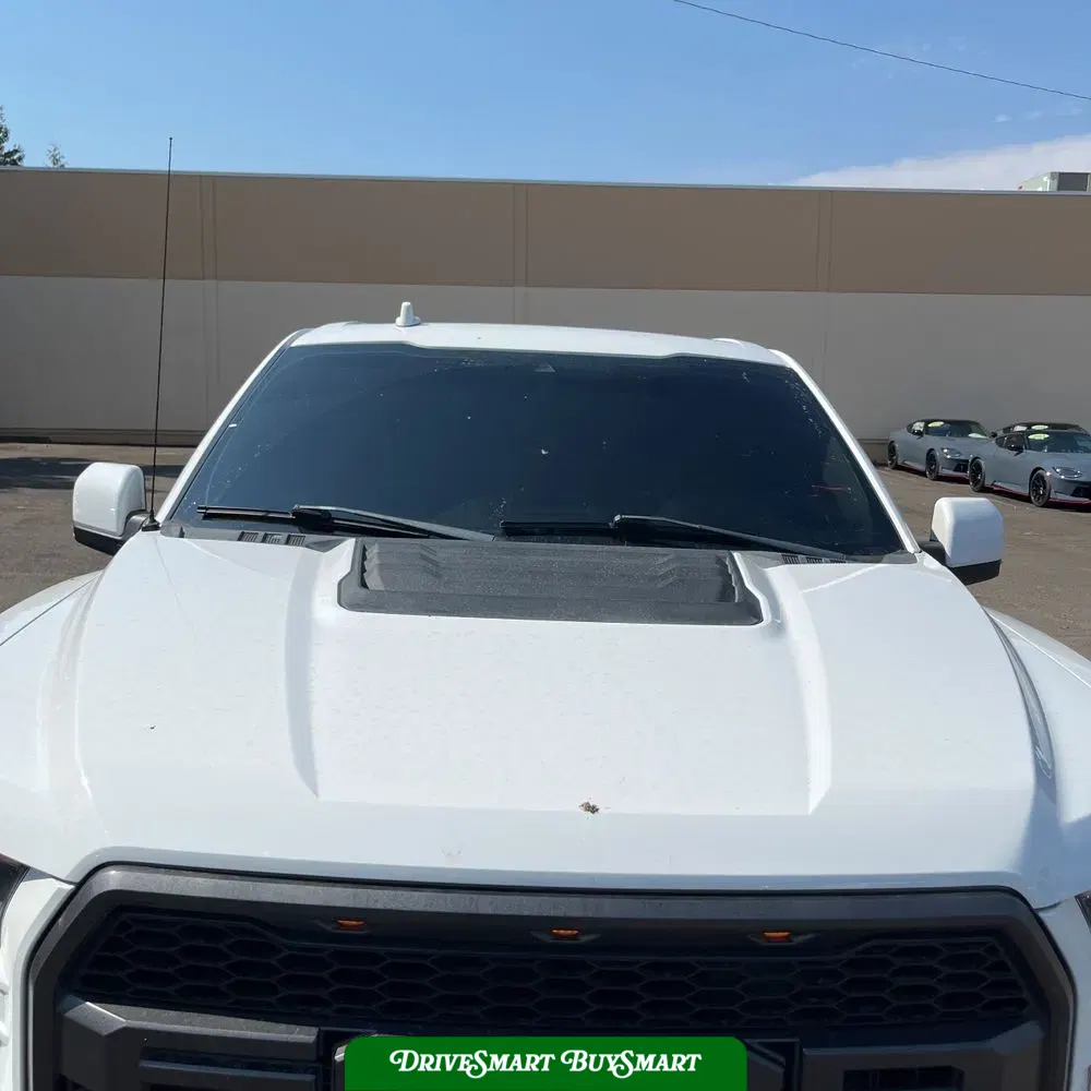 2019 Ford F-150 Raptor