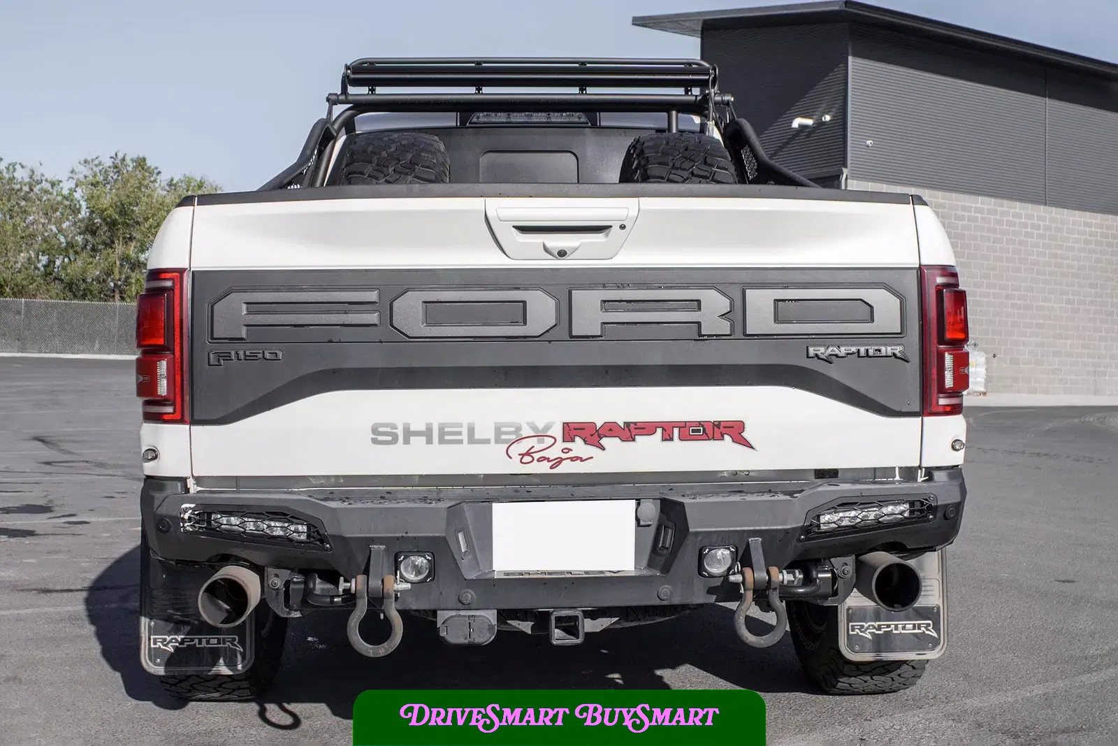 2020 Ford F-150 Shelby Baja Raptor
