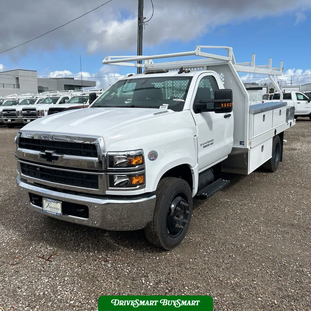 2023 Chevrolet Silverado 5500 W/T
