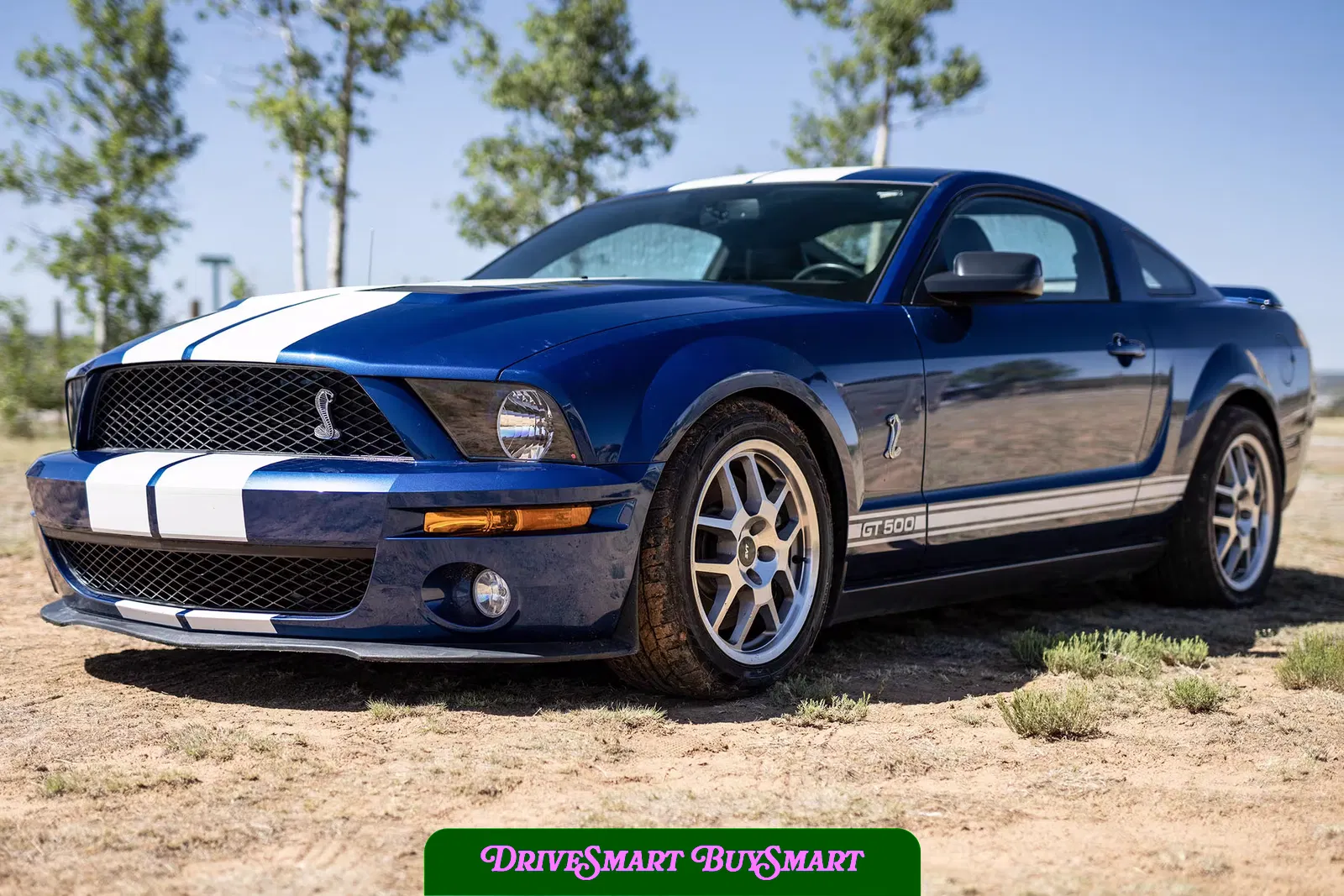 2007 Ford Mustang Shelby GT500