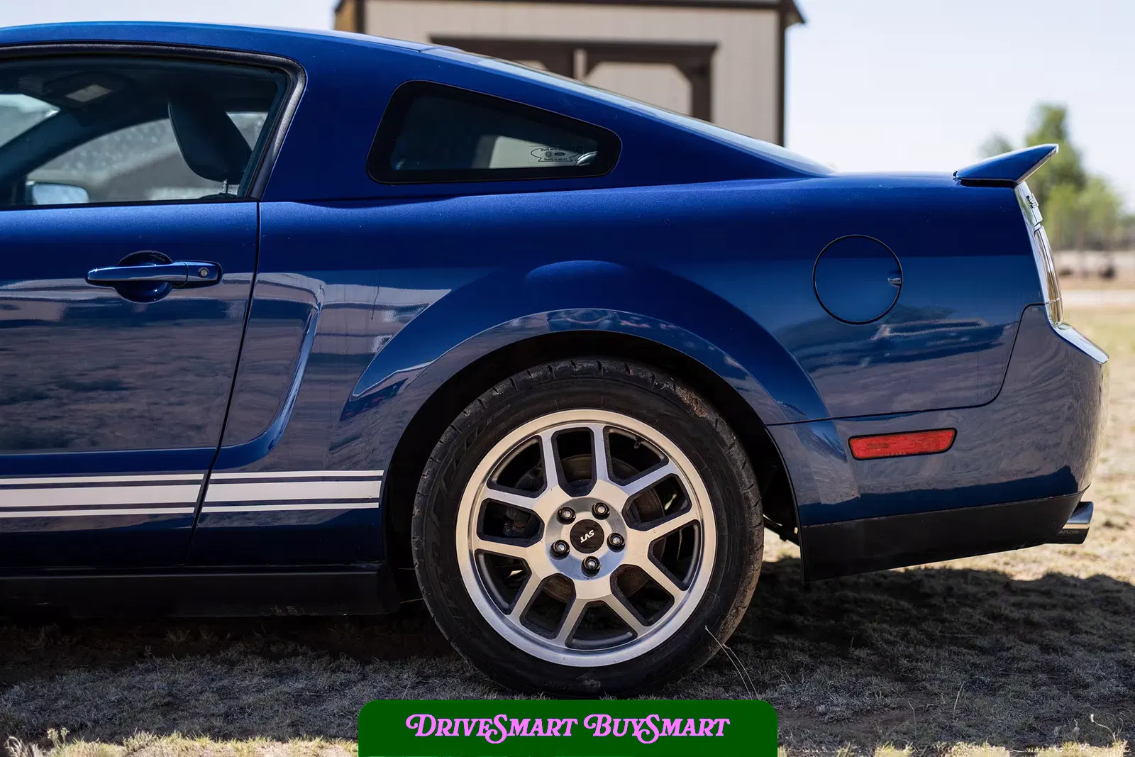 2007 Ford Mustang Shelby GT500