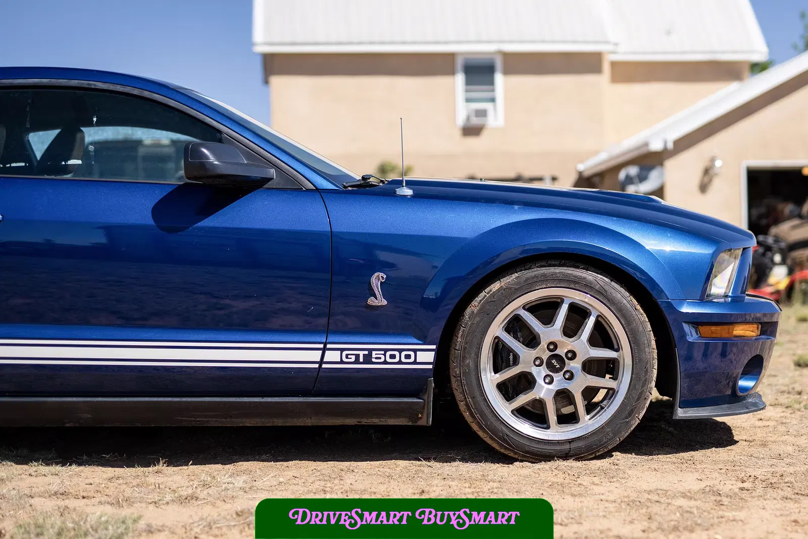 2007 Ford Mustang Shelby GT500