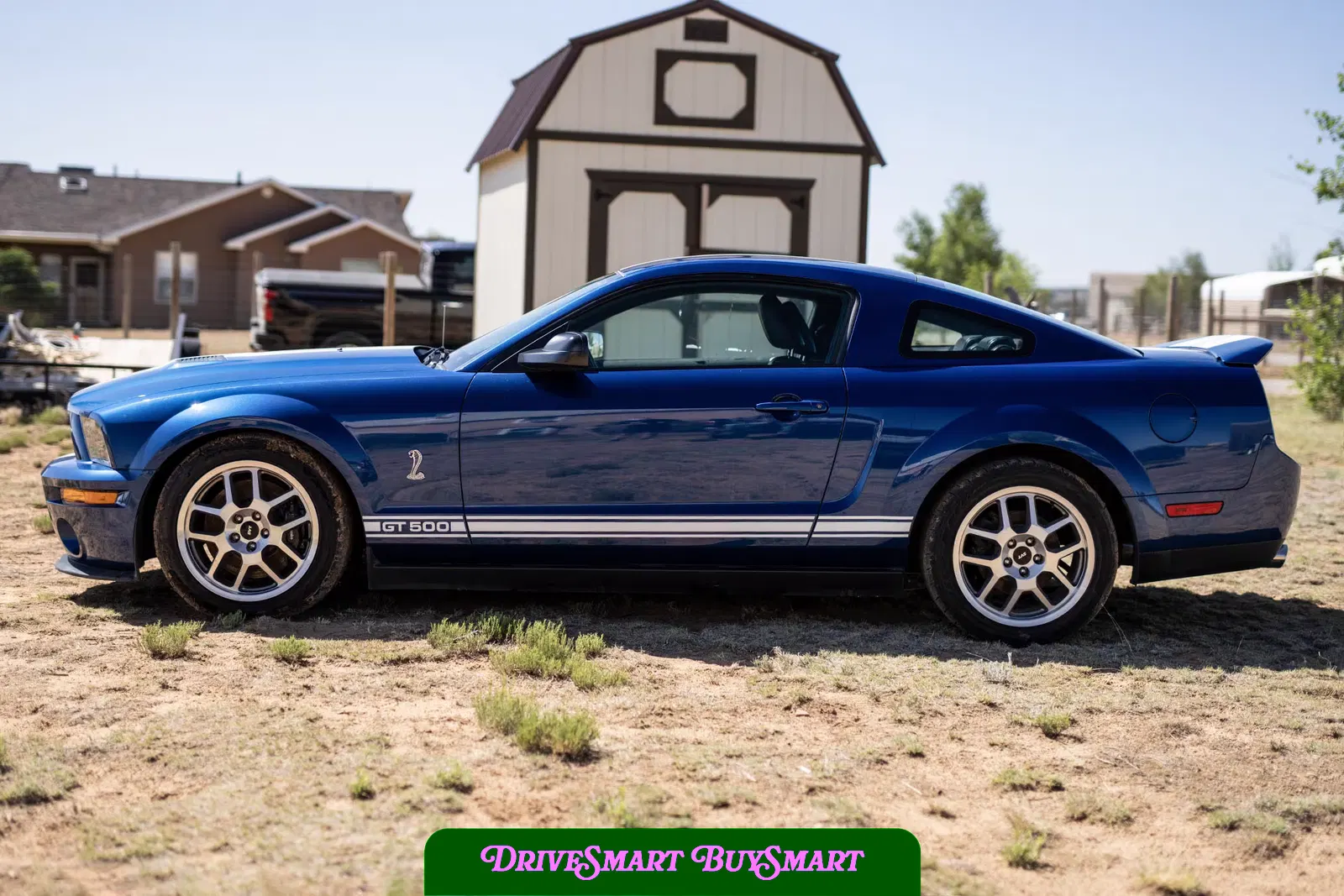 2007 Ford Mustang Shelby GT500