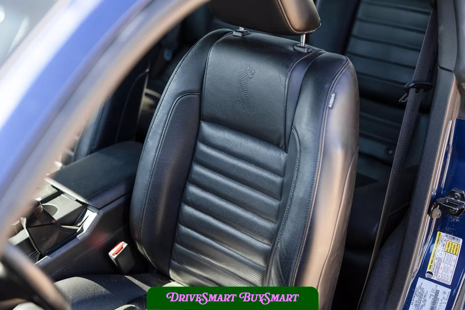 2007 Ford Mustang Shelby GT500