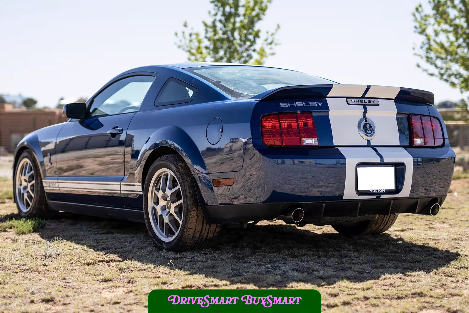2007 Ford Mustang Shelby GT500