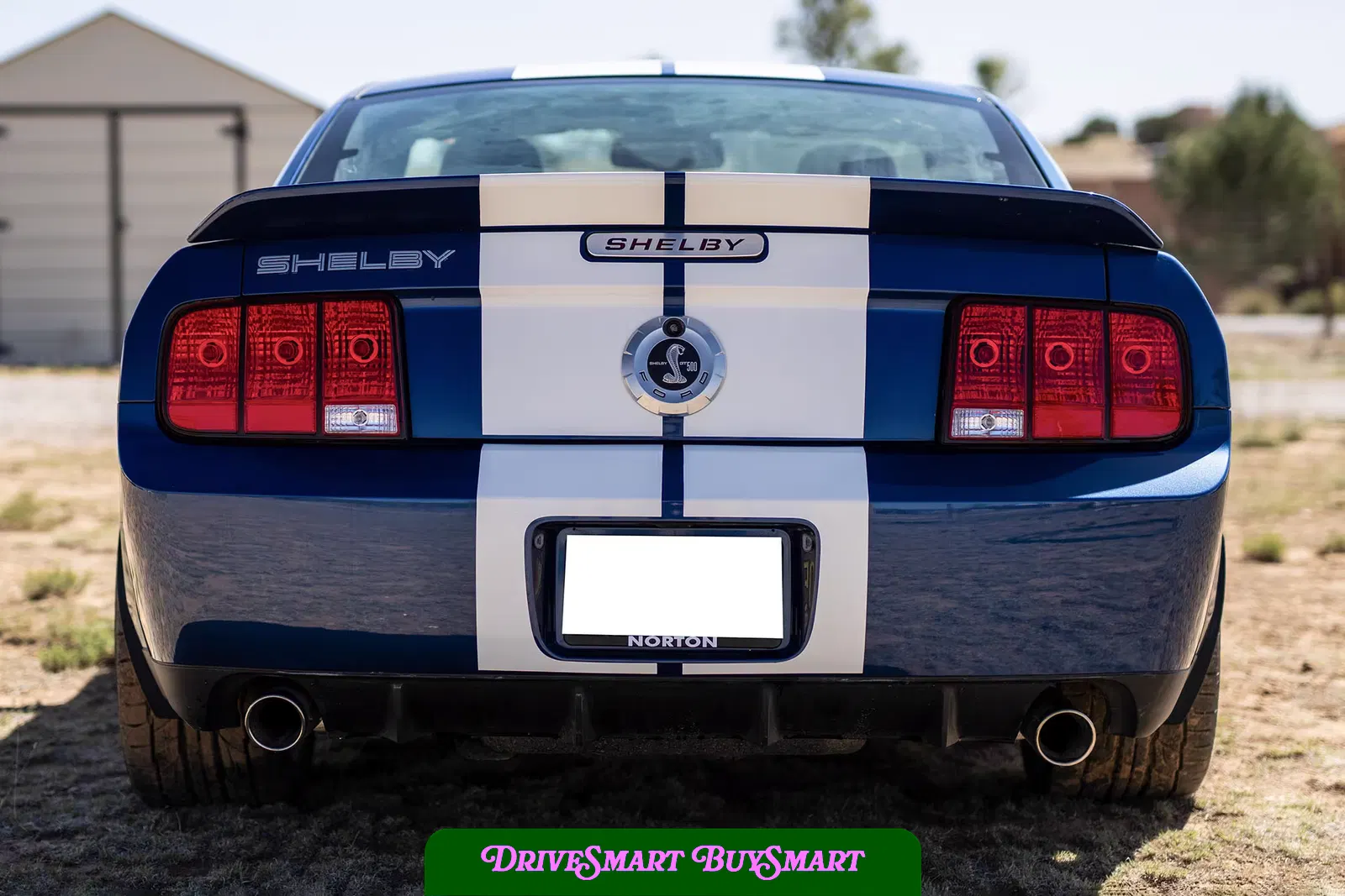 2007 Ford Mustang Shelby GT500