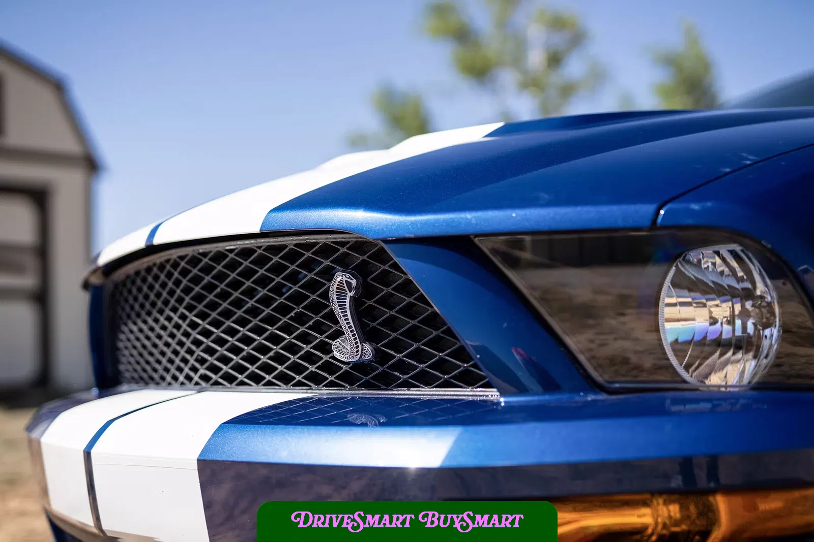 2007 Ford Mustang Shelby GT500