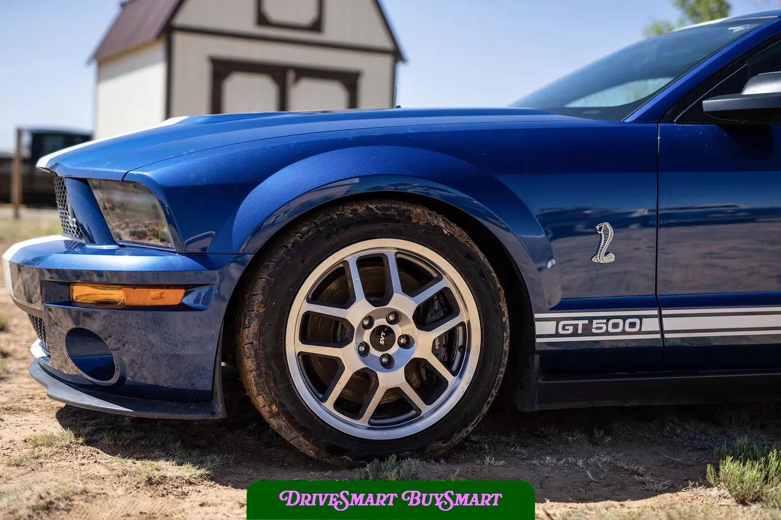 2007 Ford Mustang Shelby GT500