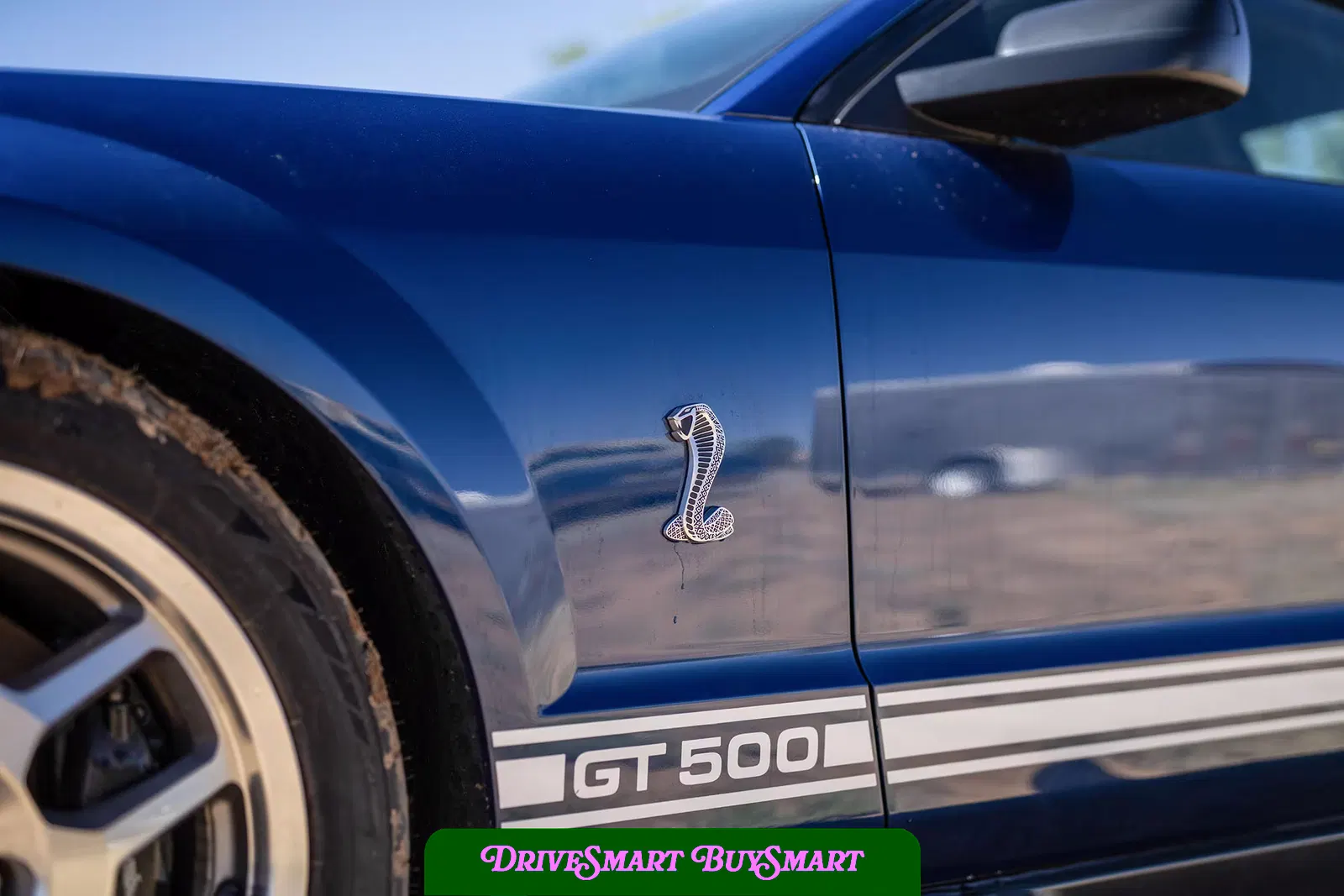 2007 Ford Mustang Shelby GT500