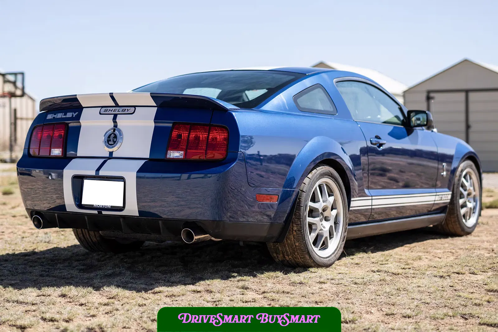 2007 Ford Mustang Shelby GT500