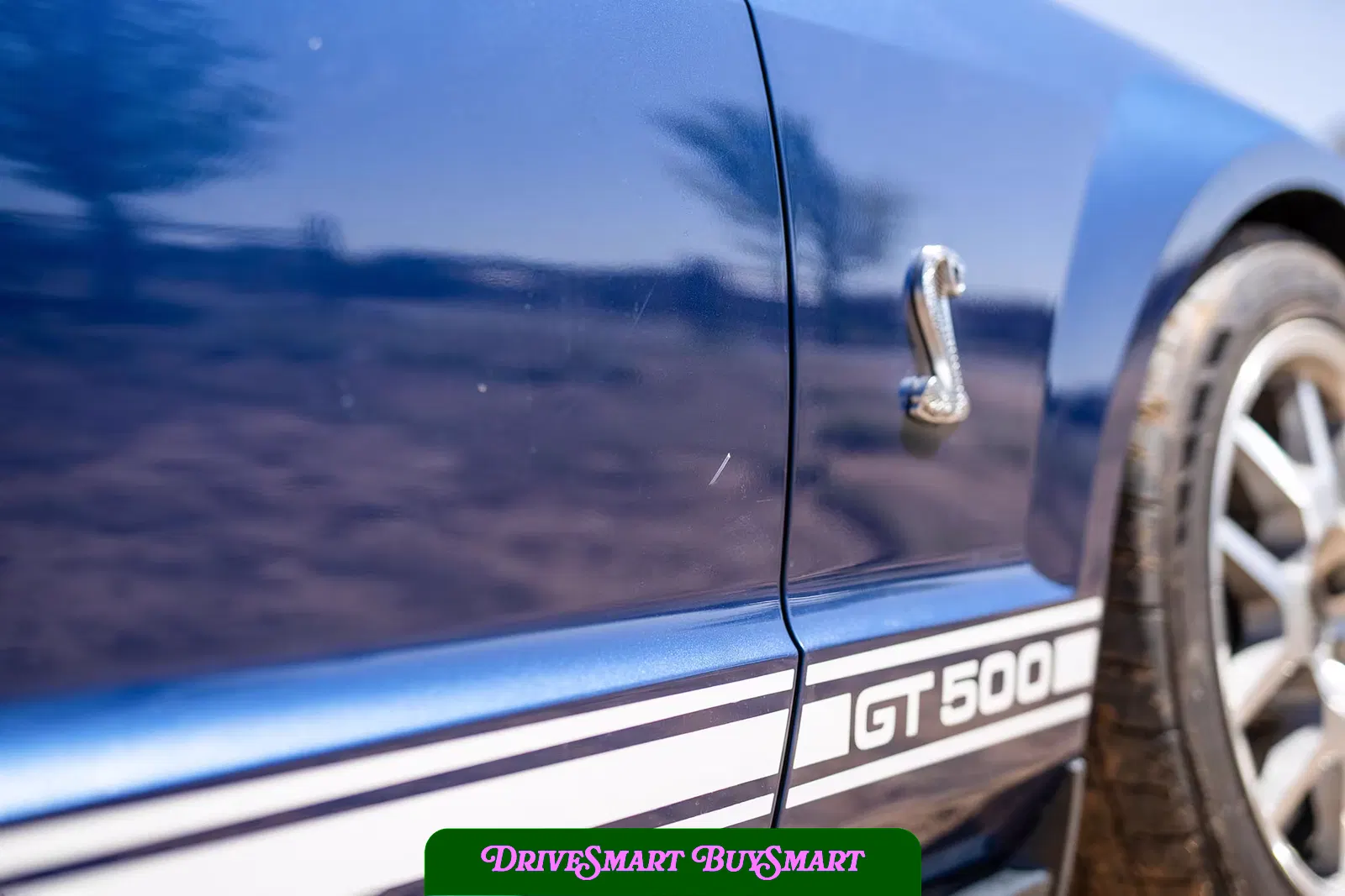 2007 Ford Mustang Shelby GT500