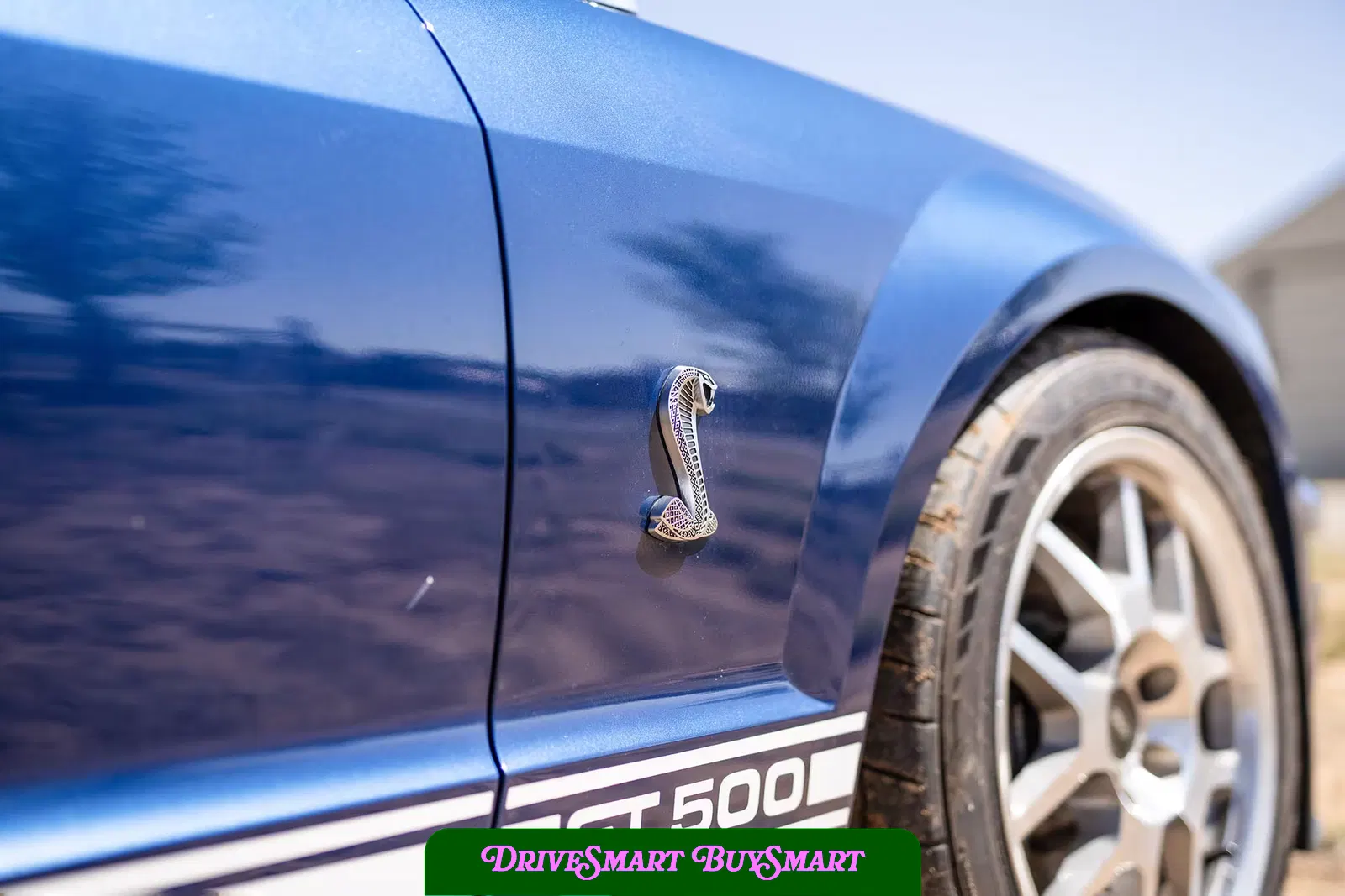 2007 Ford Mustang Shelby GT500