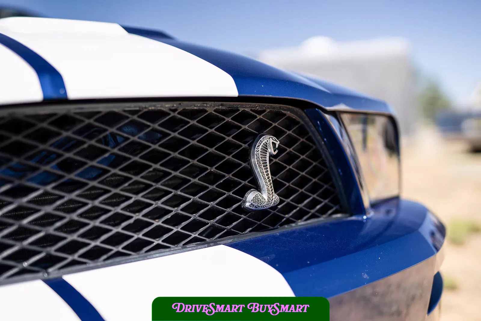 2007 Ford Mustang Shelby GT500