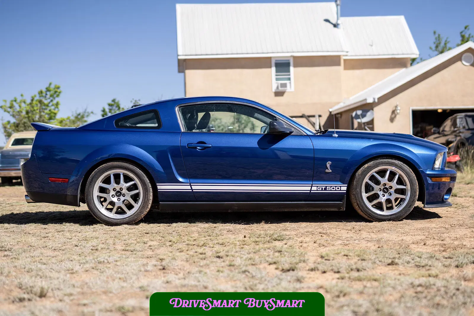 2007 Ford Mustang Shelby GT500