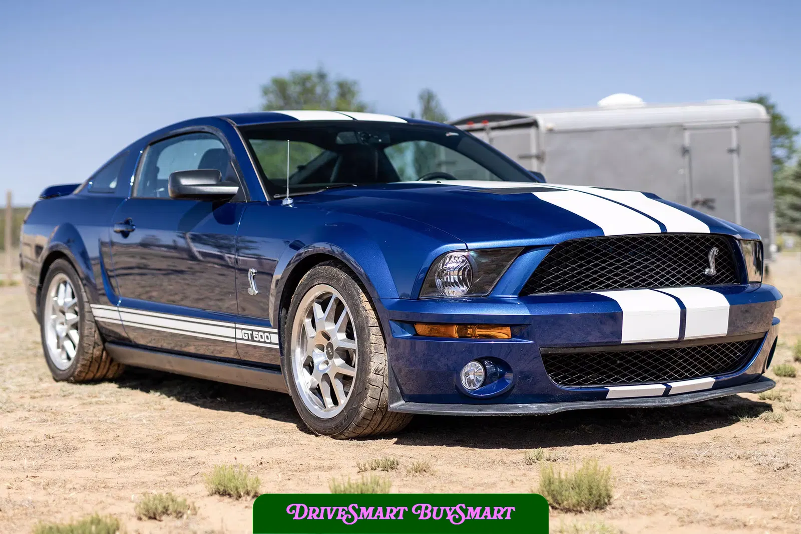 2007 Ford Mustang Shelby GT500