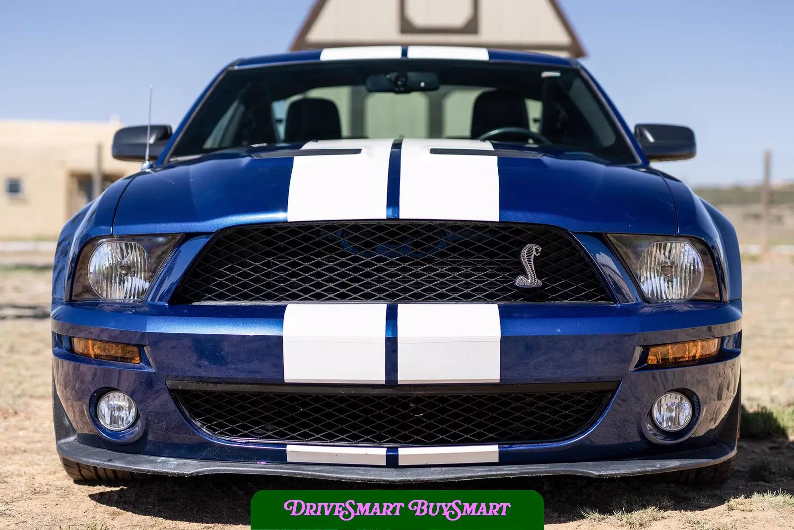 2007 Ford Mustang Shelby GT500