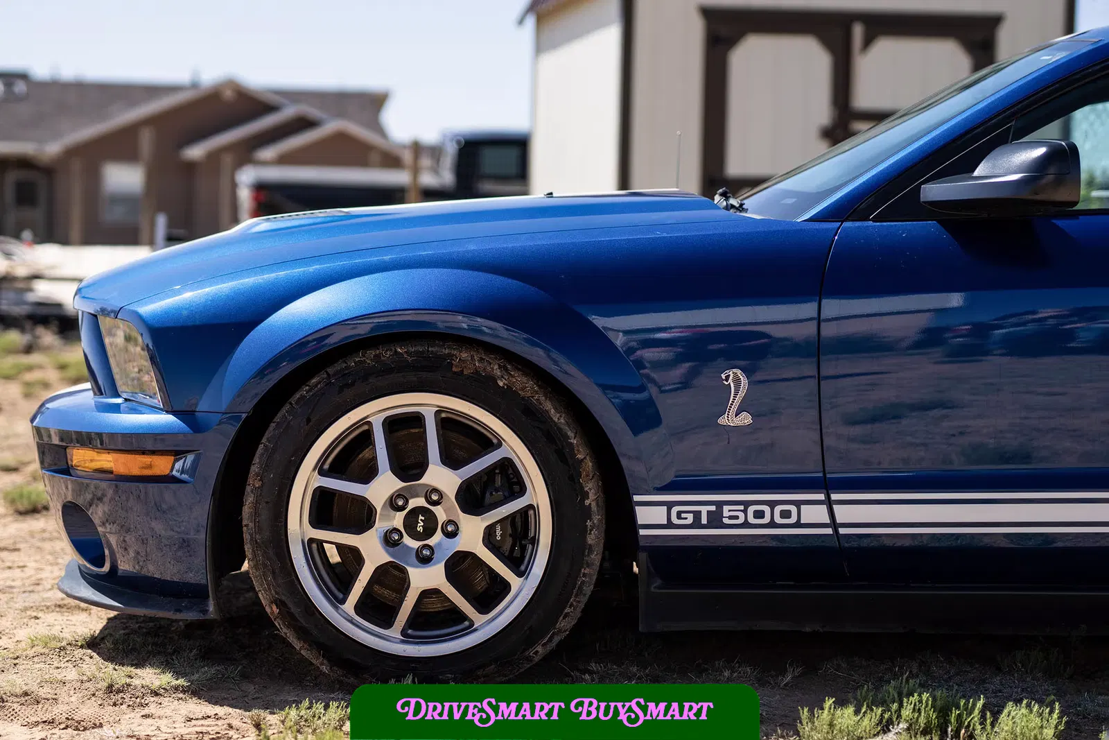 2007 Ford Mustang Shelby GT500
