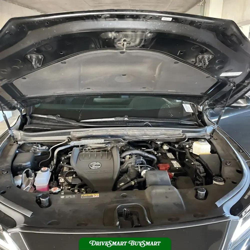 2024 Lexus RX 350 Premium