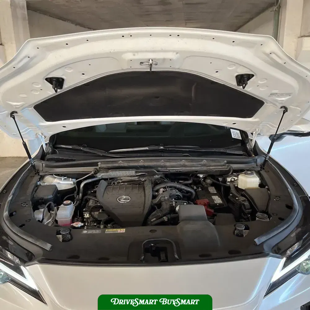 2023 Lexus RX 350 Premium+