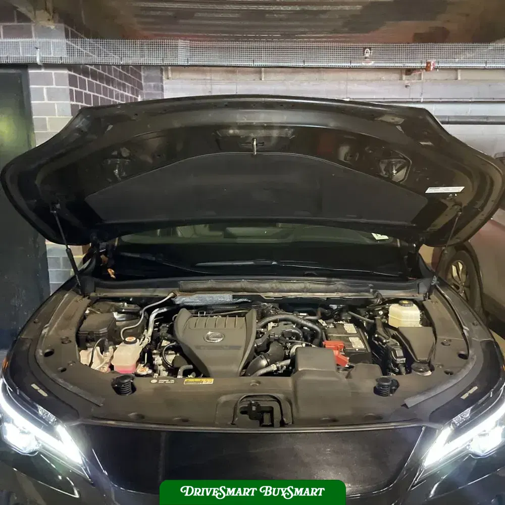 2024 Lexus RX 350 Premium