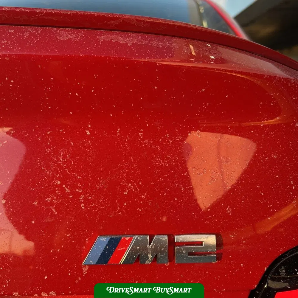 2024 BMW M2 Base