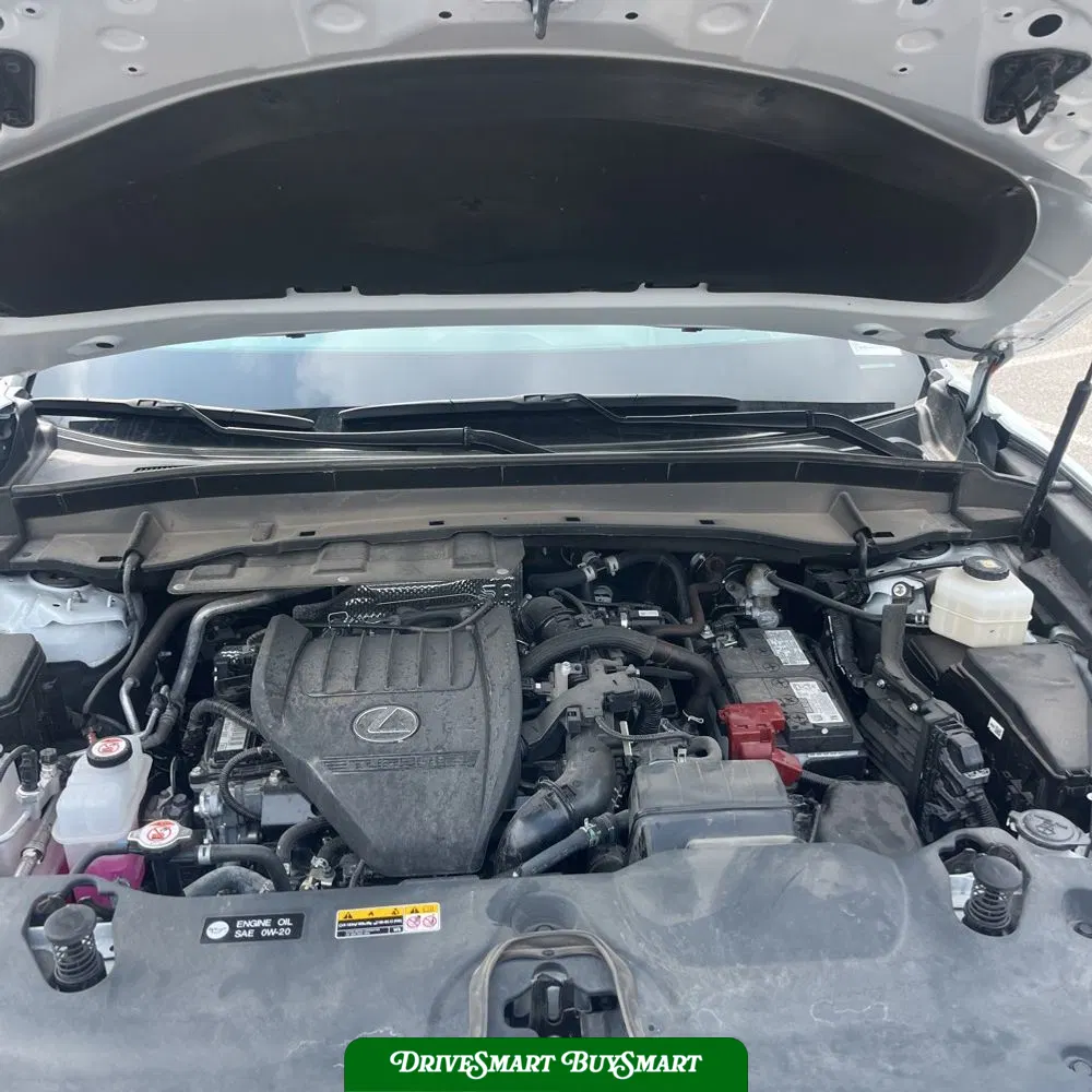 2024 Lexus TX 350 Luxury