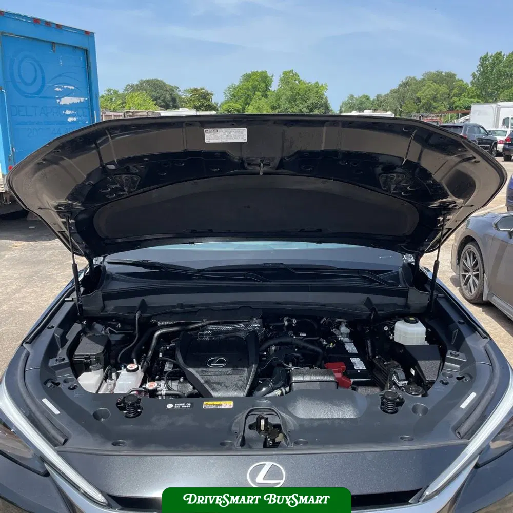2024 Lexus TX 350 Premium