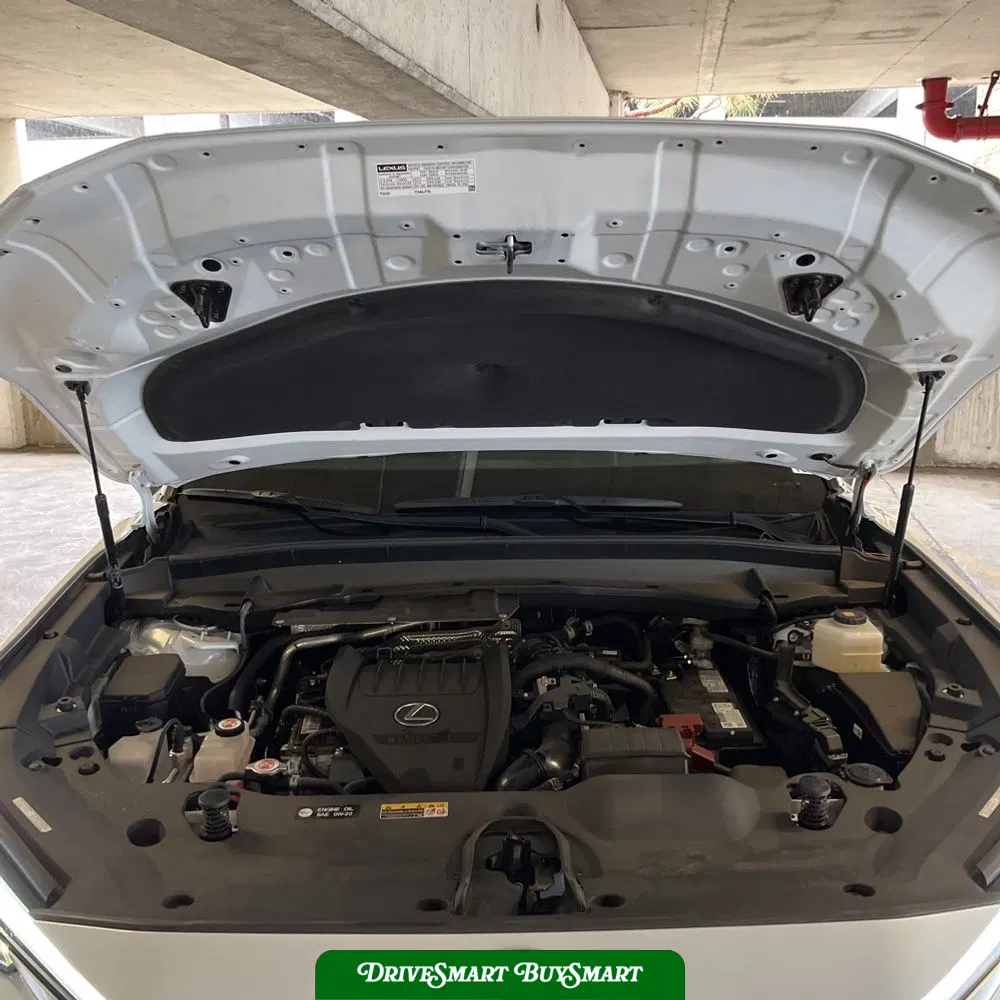 2024 Lexus TX 350 Premium