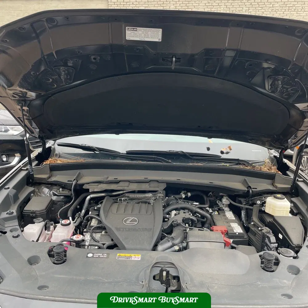 2024 Lexus TX 350 Premium