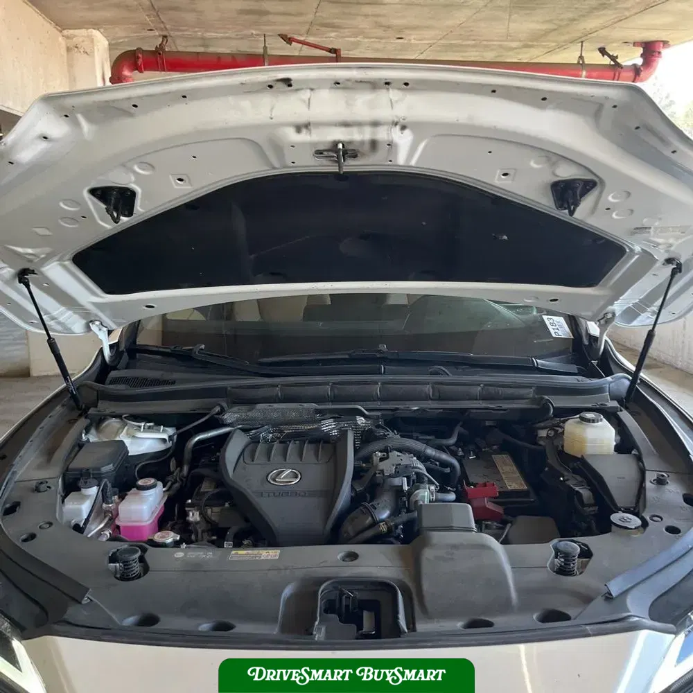 2023 Lexus RX 350 Premium+