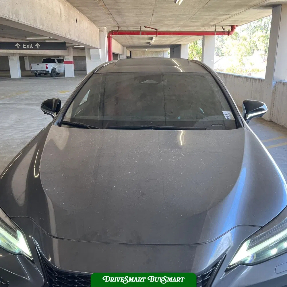 2024 Lexus NX 450h+ F SPORT Handling