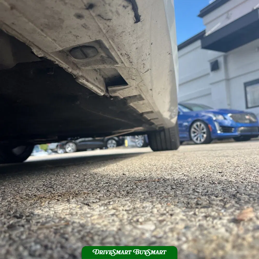 2023 Audi S5 Premium Plus