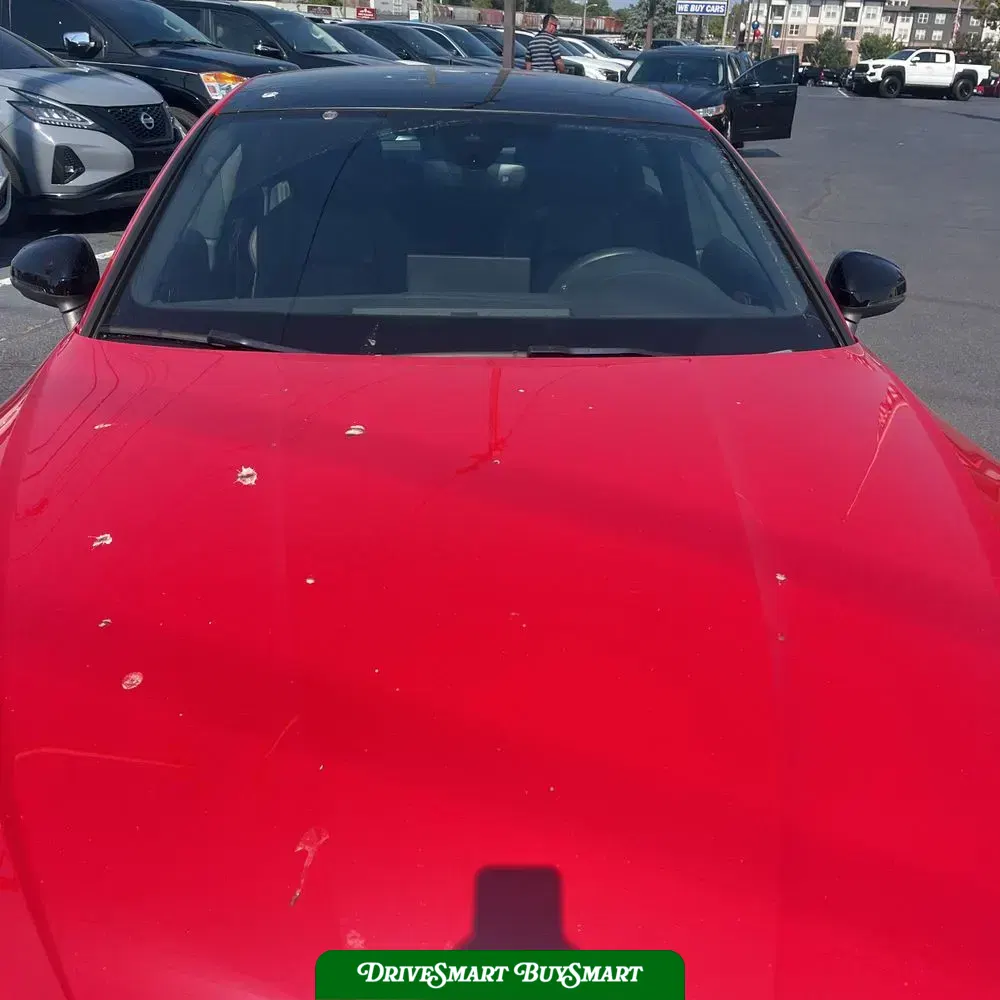 2024 Audi S5 Premium Plus