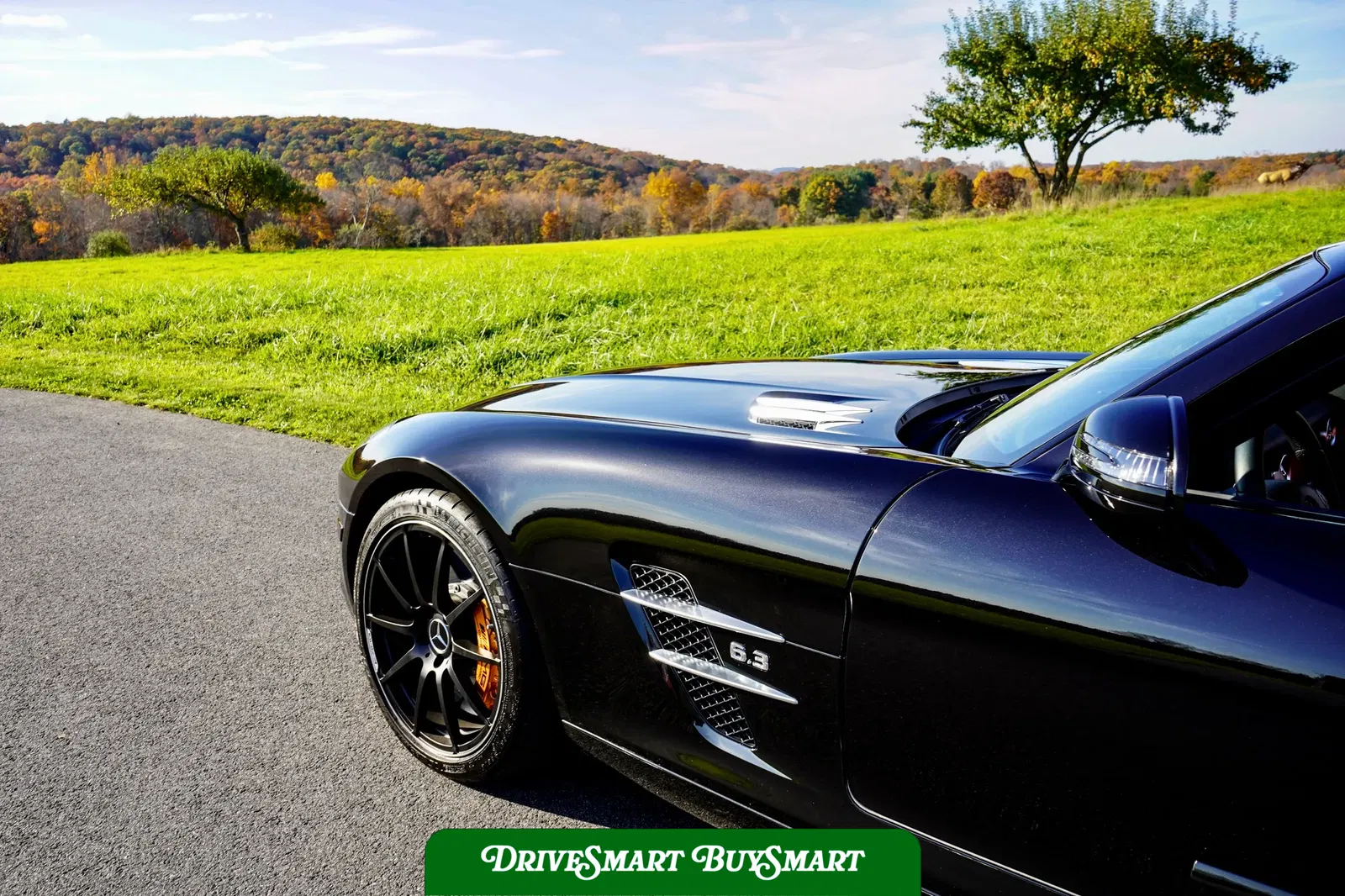 2012 Mercedes-Benz SLS AMG