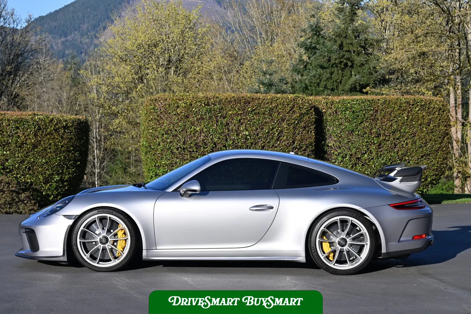 2019 Porsche 911 GT3