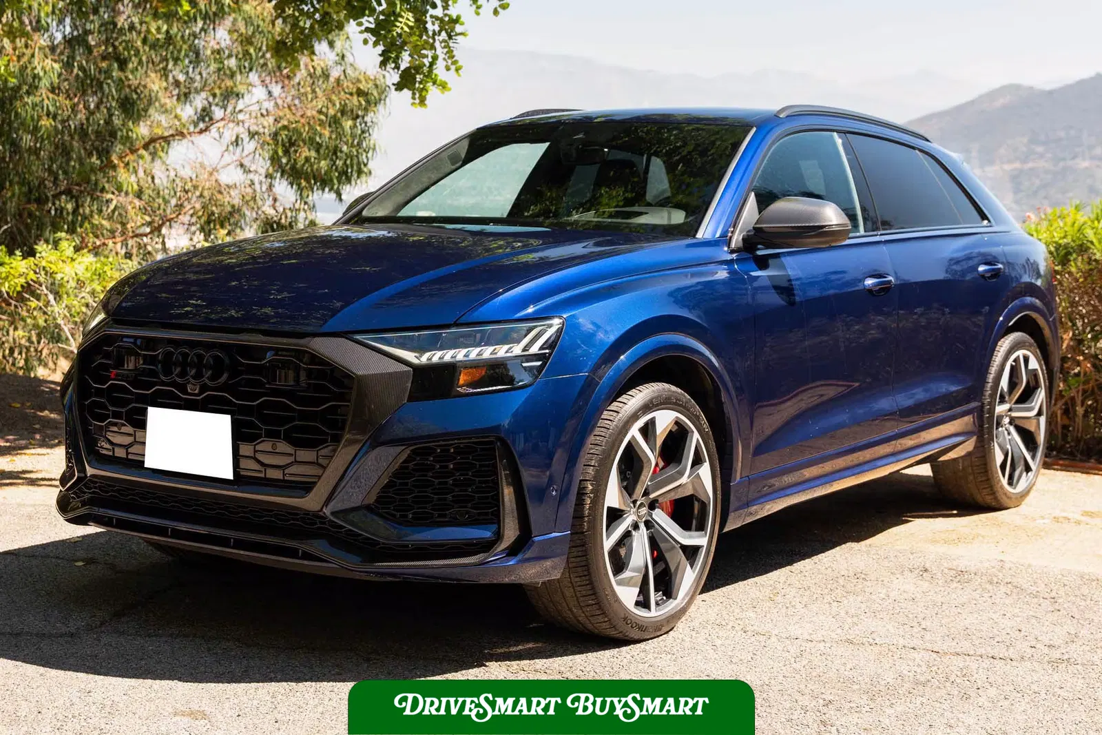 2020 Audi RS Q8