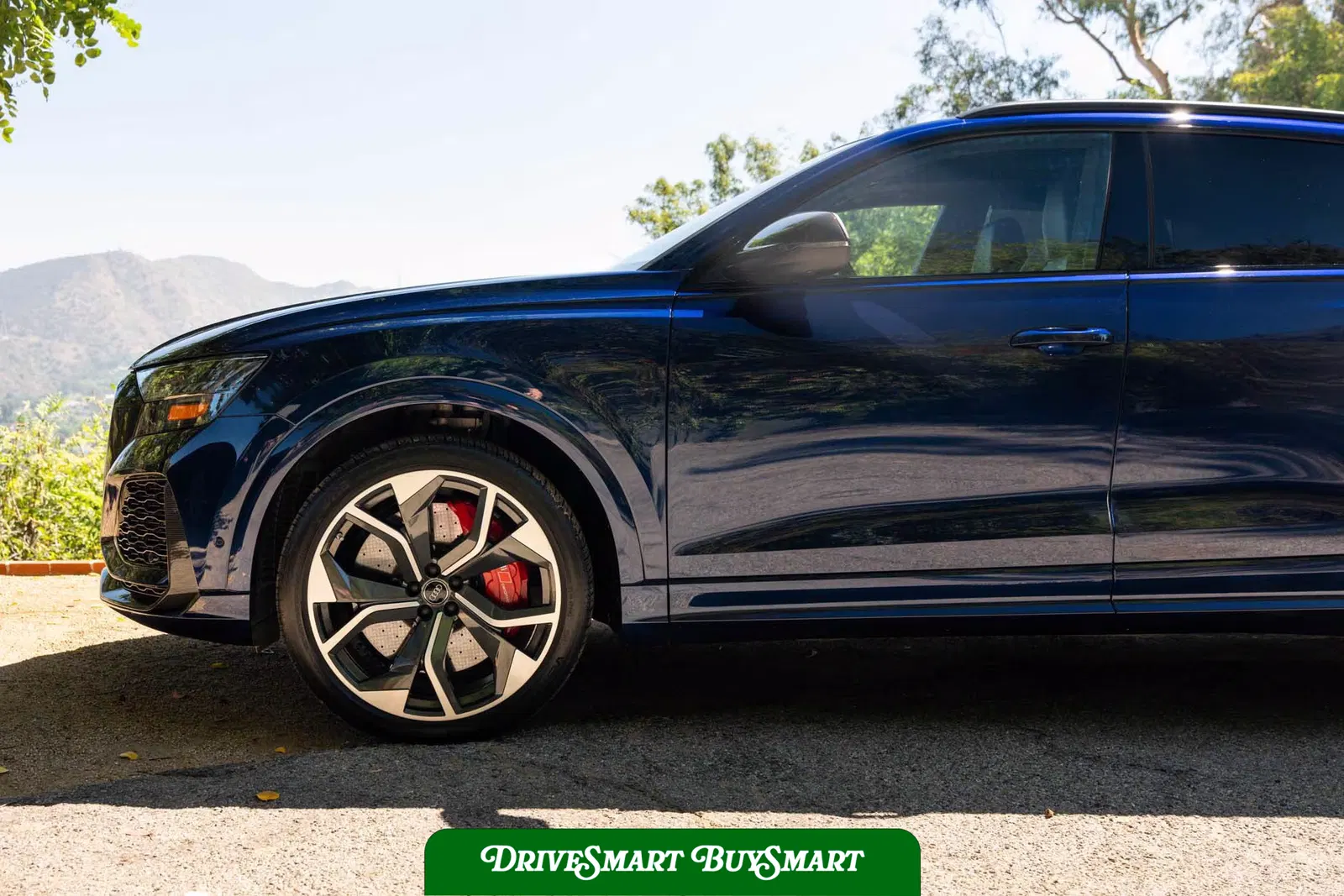 2020 Audi RS Q8