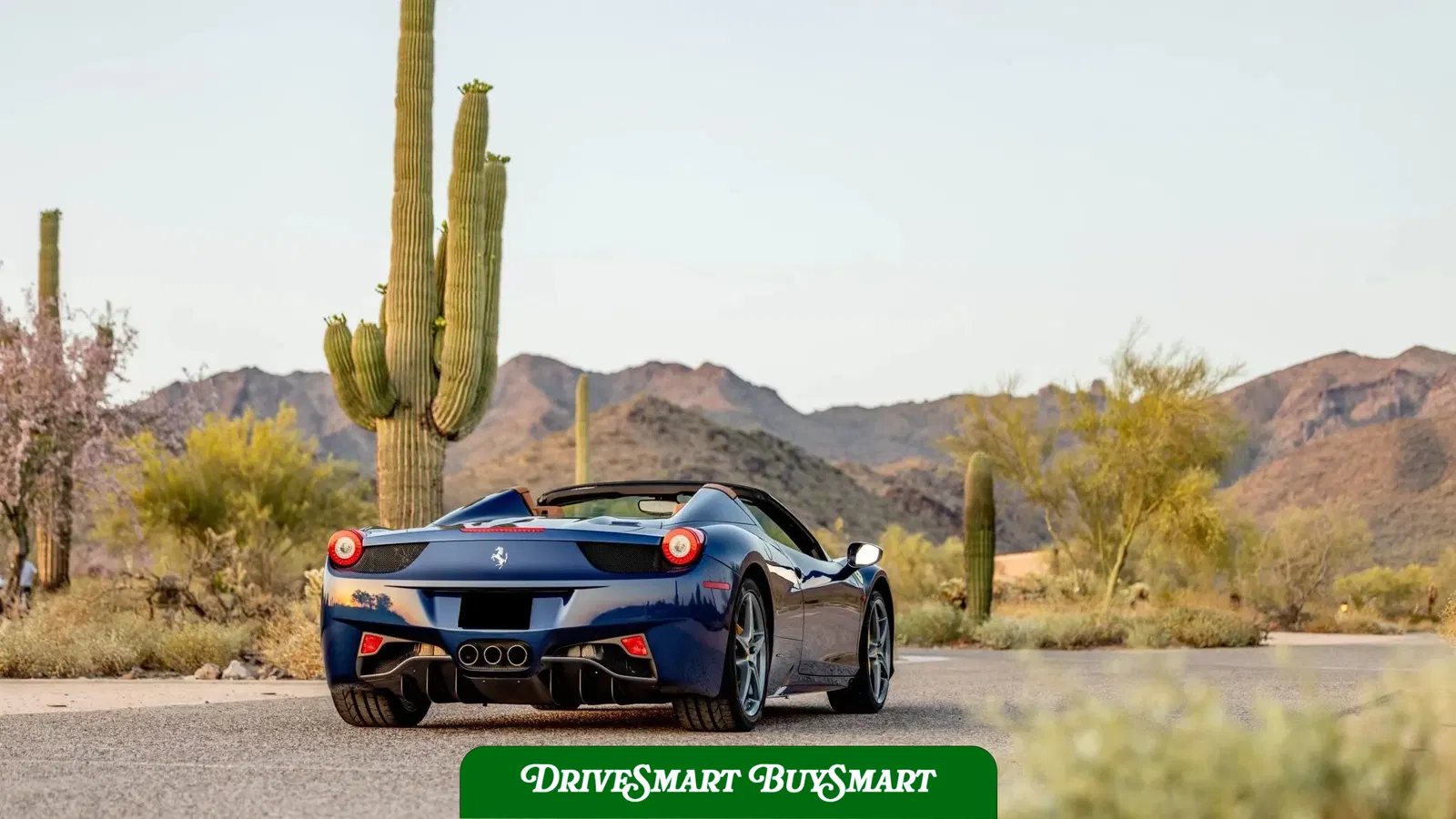 2014 Ferrari 458 Spider